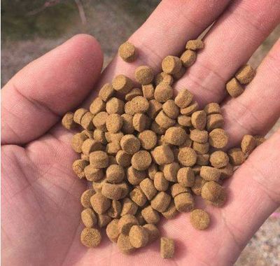 魚飼料的質(zhì)量好壞怎么分辨?