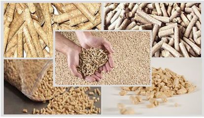 中國農(nóng)業(yè)科學(xué)院飼料研究所研究員蔡輝益:中國飼料工業(yè)未來發(fā)展趨勢
