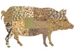 濟寧口碑好的豬飼料&middot;廠家直銷|代理豬飼料價格圖片|濟寧口碑好的豬飼料&middot;廠家直銷|代理豬飼料價格產品圖片由鄒城市悅源工貿公司生產提供-