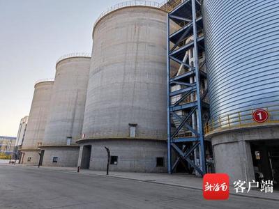 海南澳斯卡:自貿港糧油大型智慧工廠的&ldquo;樣板間&rdquo; 引領傳統糧油生產新蛻變