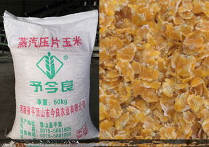 玉米中的長壽因子 金良農(nóng)業(yè)如何通過玉米片飼料推動養(yǎng)殖健康