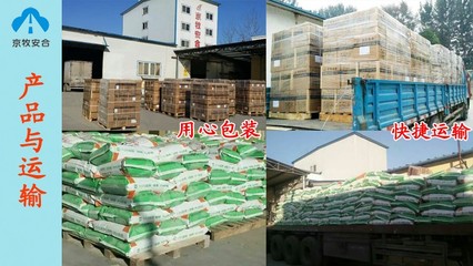 河北滄州蛋種鴨預(yù)混料廠家直銷 京牧安合生物技術(shù)引領(lǐng)飼料品質(zhì)新標準