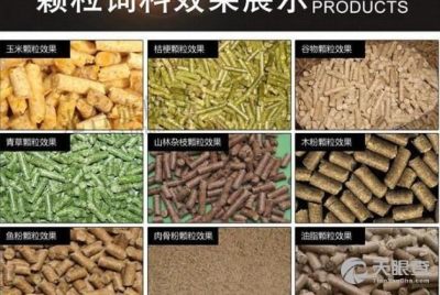 專業(yè)鑄就品質(zhì)，服務(wù)深耕農(nóng)業(yè)——四川省齊全飼料有限責任公司的發(fā)展之路