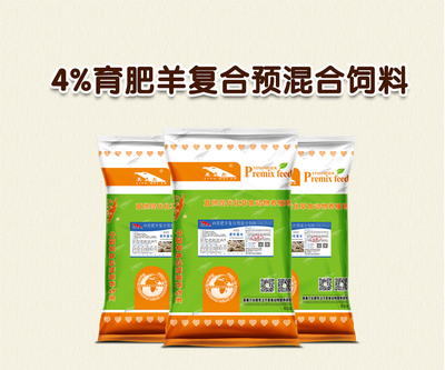 科學育肥羊飼料配方 營養均衡與高效育肥的關鍵